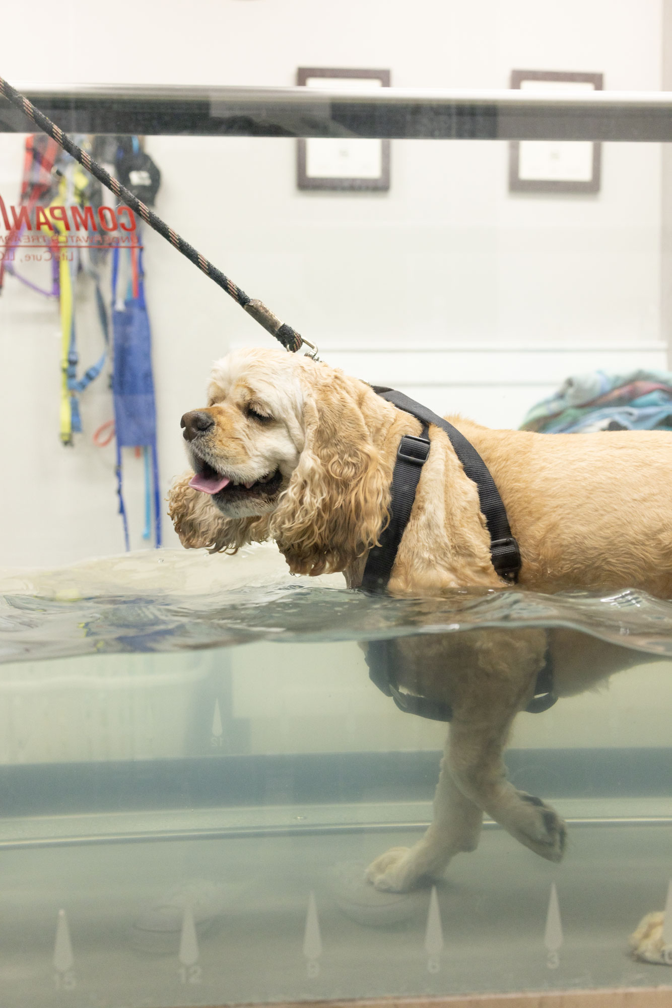 Hydro Therapy