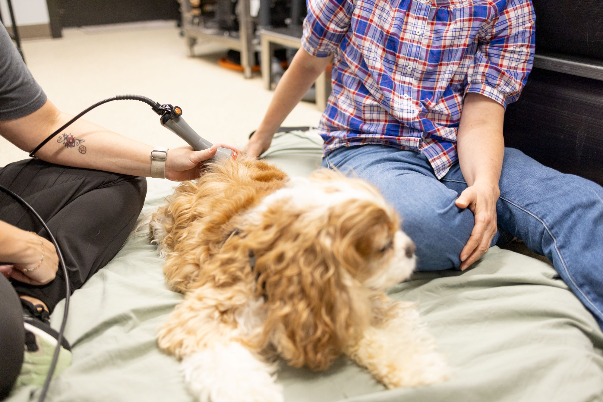Laser Therapy